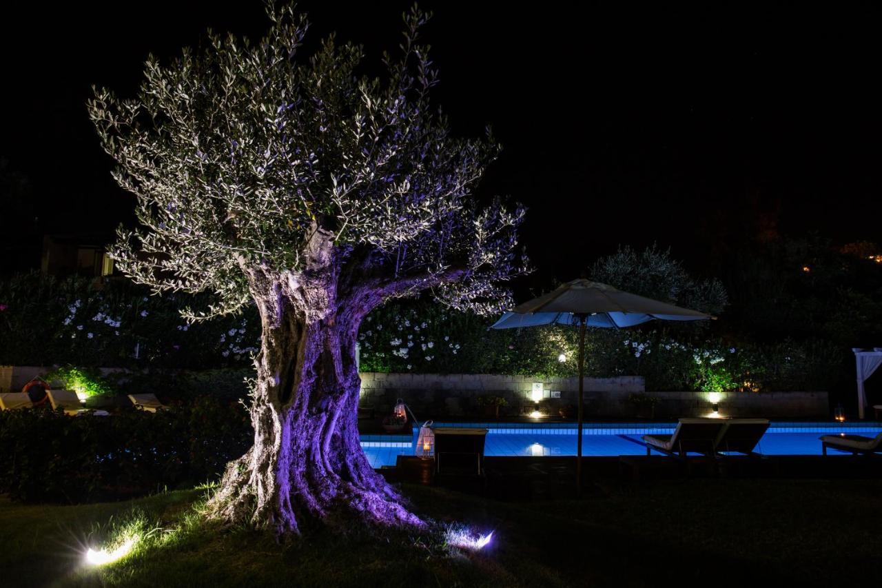 Albaruja Hotel コスタ・レイ エクステリア 写真